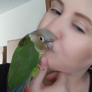 Meet your Posher, Kira